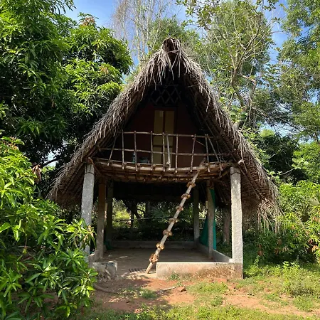 Art Forest-3